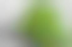 Eco Jargon