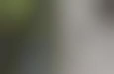 Disease-Detecting Drones