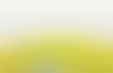 Kid-Safe Citronella Stickers