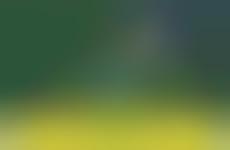 Sensory Conference Events