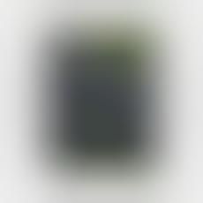 ecomoto.org