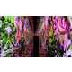 AI-Created Multisensory Artworks Image 1