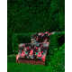 Romantic Luxury Home Décor Image 3