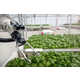Smart Greenhouse Technologies Image 1