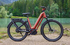 Spacious Comfort-Focused E-Bikes