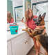 Multi-Purpose Dog Dental Chews Image 1