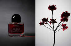 Gourmand Oud Fragrances