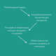 Science-Led Menopause Probiotics Image 2