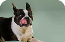 Deliverable Human-Grade Dog Food