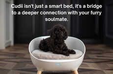 Smart Dog Beds