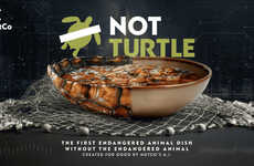 Plant-Based Turtle Soups