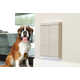 Motorized Smart Pet Doors Image 1