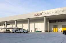 Ethical Animal Transport Initiatives