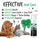 Pet-Friendly Dental Foams Image 2