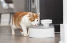 Pumpless Pet Fountains