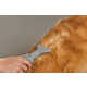 Smart Home Grooming Tools Image 4