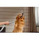 Smart Home Grooming Tools Image 5