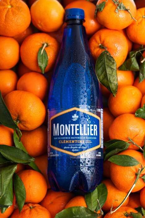 Citrus-Infused Sparkling Waters