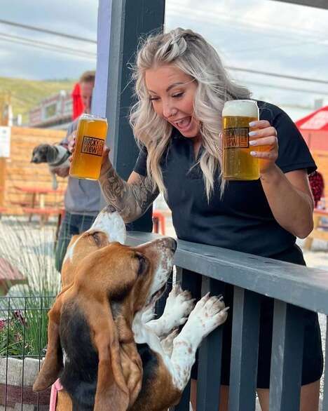 Dog-Friendly Patio Menus