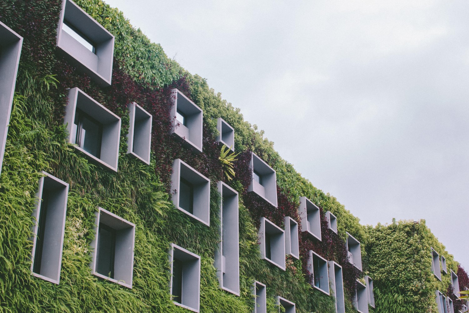 Sustainability Redefined: Eco Trend Report Walkthrough